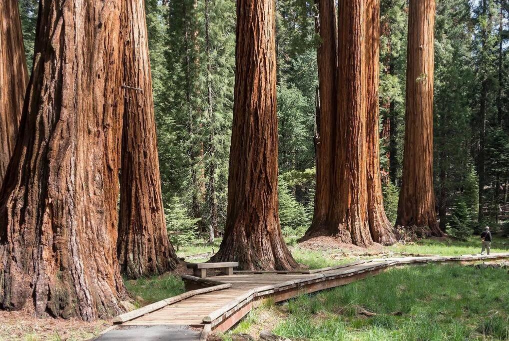 Sequoia Cabin By The River Three Rivers Exterior foto