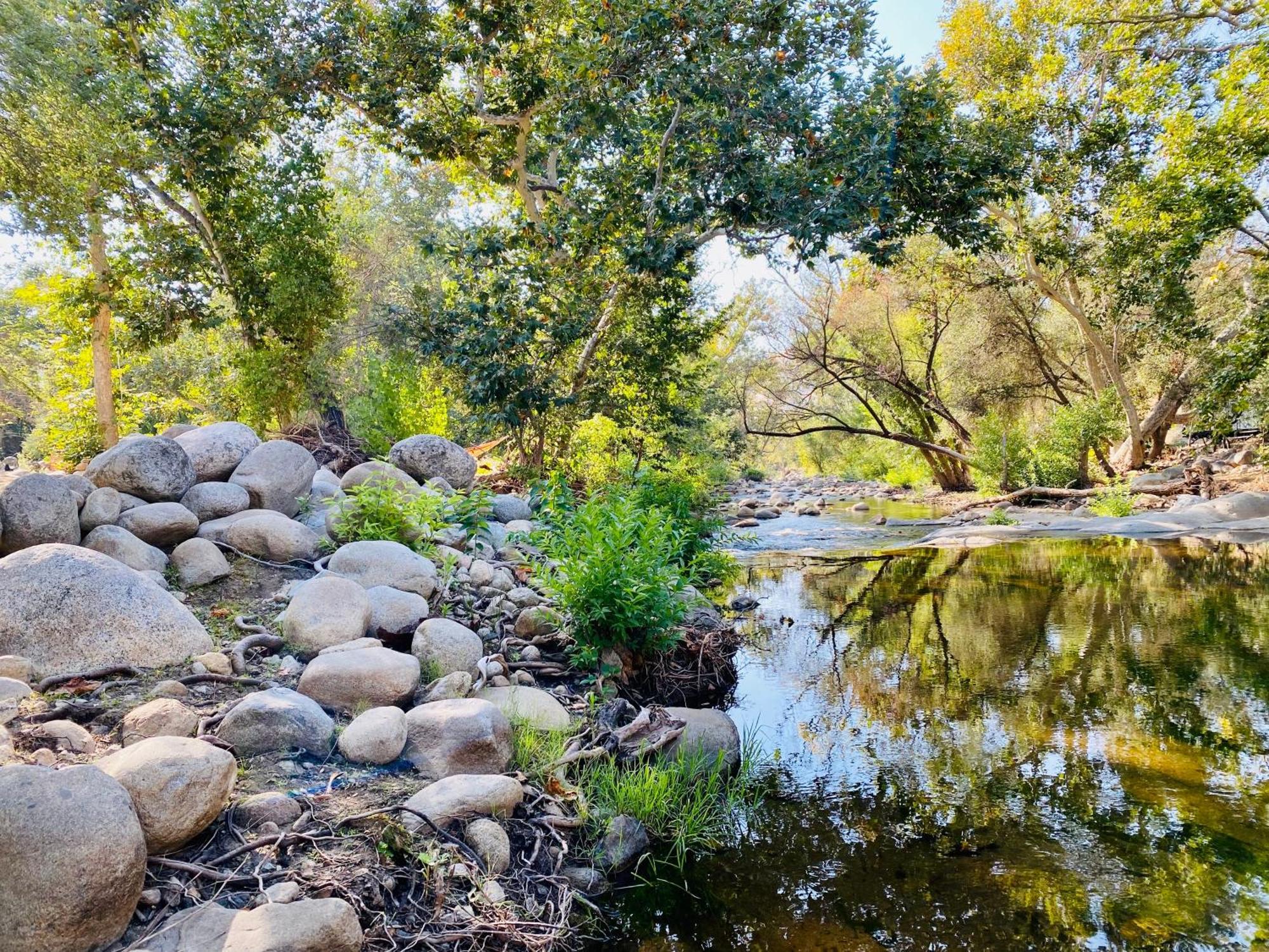 Sequoia Cabin By The River Three Rivers Exterior foto